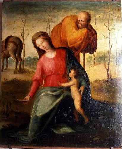 Domenico di Pace Beccafumi The Flight into Egypt Spain oil painting art